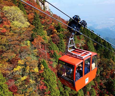 大阪出發~御在所岳纜車賞楓樹冰 名花之里燈飾巴士一日遊