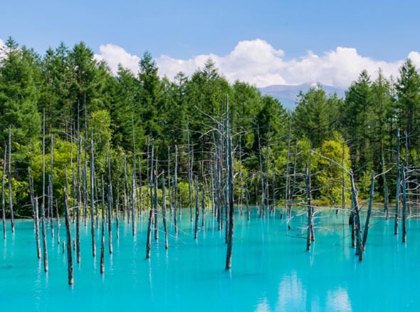 北海道