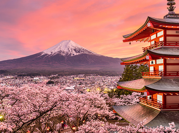 カスタマイズされた旅程