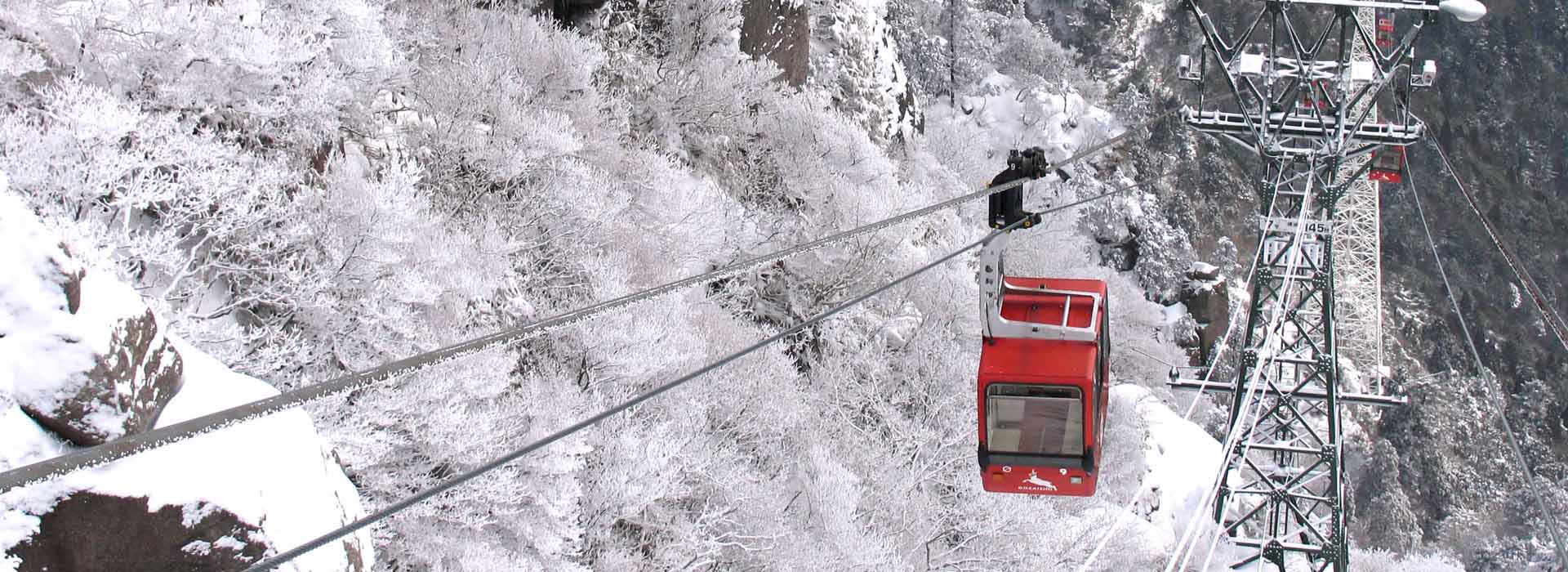 From Osaka ~Gozaishodake Ropeway Viewing Maple Trees, Icefalls, Icefalls, and Illumination-Nobana no