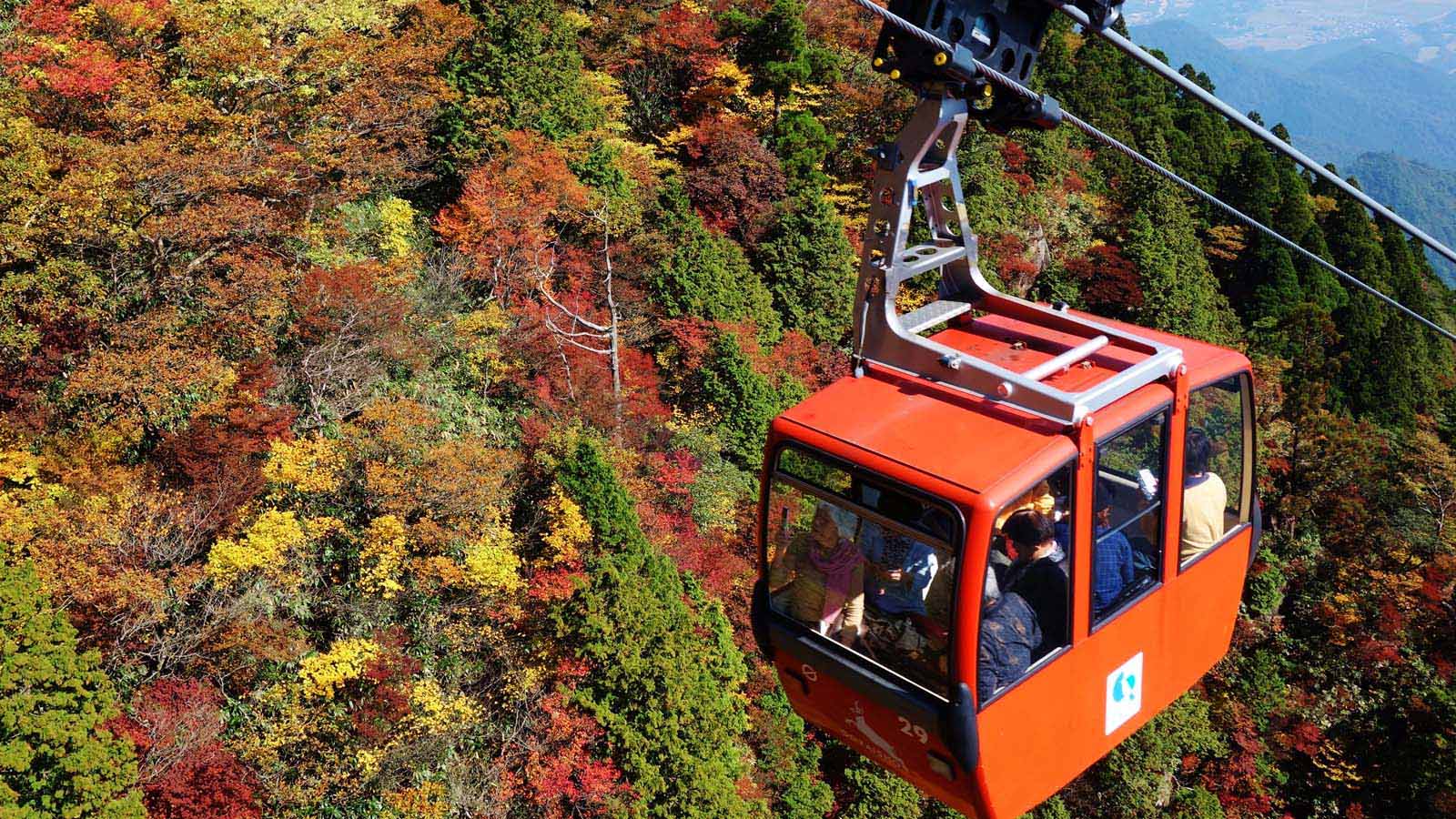 Gozaishodake Ropeway Viewing Maple Trees, Icefalls, Icefalls, and Illumination-Nobana no Sato